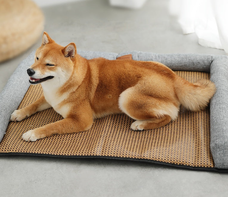 Dog sitting on a woven mat inside a Pet Mat