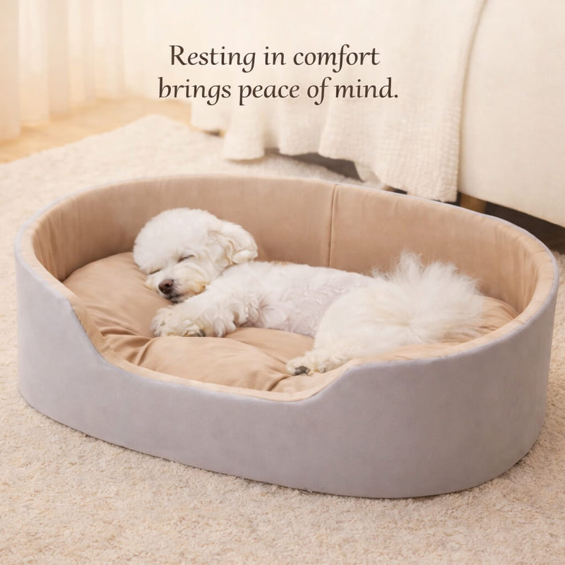 Dog resting on a beige Luxury Orthopedic Dog Bed with a cozy indoor setting.