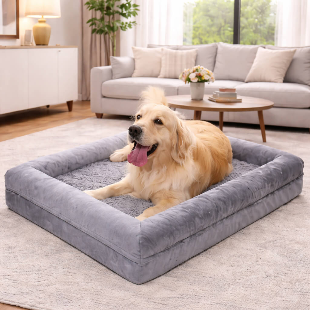 Dog lying on a gray Premium Orthopedic Dog Bed in a living room.
