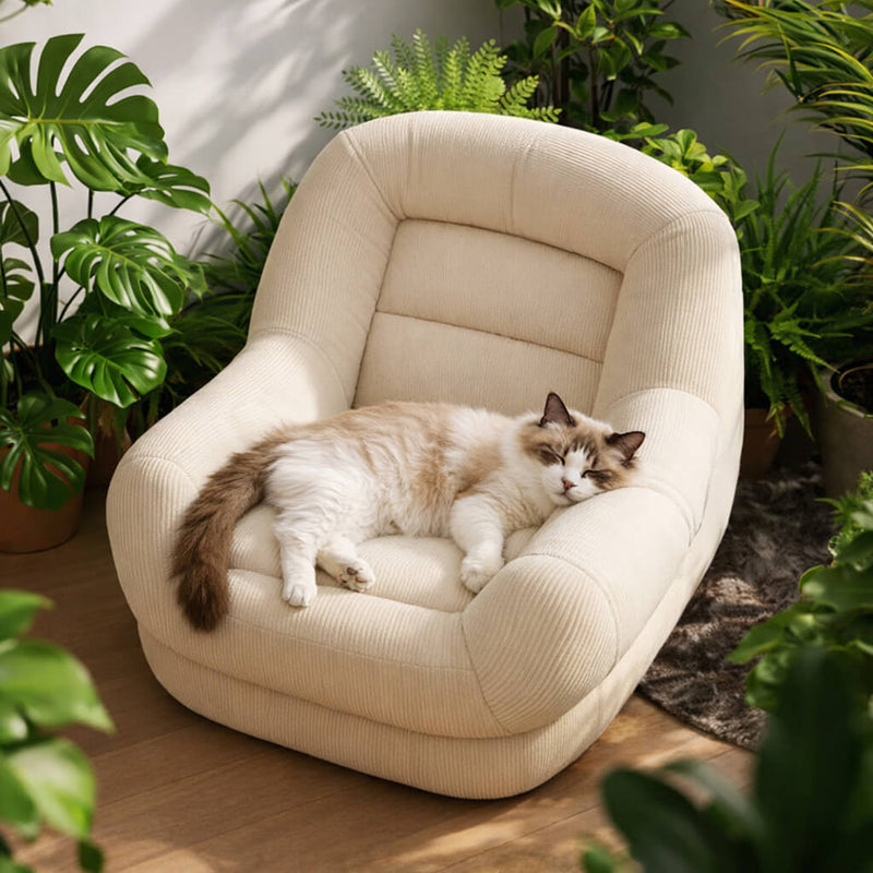 Cat lying on a beige Pet Sofa Bed  surrounded by green plants