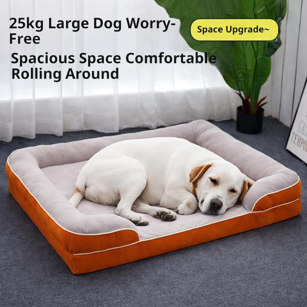 Dog lying on a large, spacious, and Orthopedic Dog Bed with text describing its features.