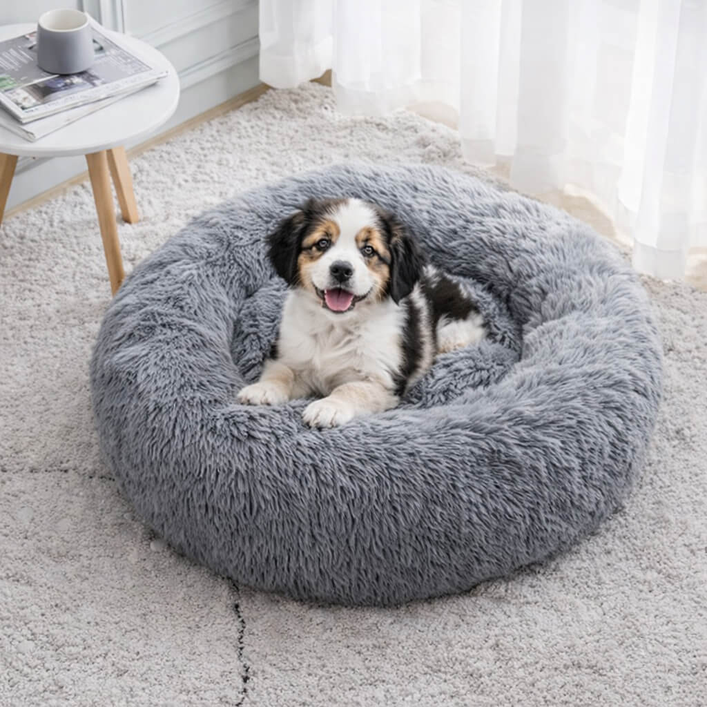Dog lying on a fluffy gray Calming Dog Bed  in a room with a rug and table.