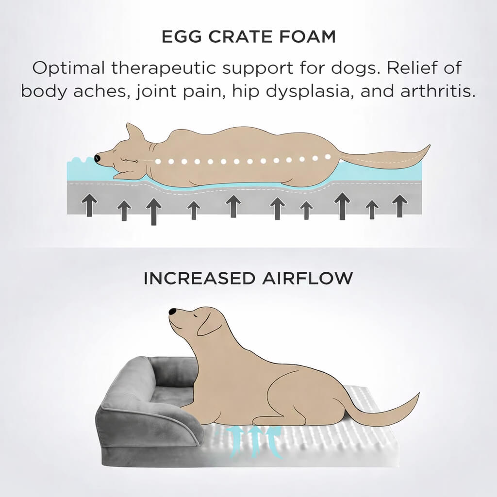 Diagram of egg crate foam for dogs with text about its benefits of Orthopedic Dog Bed.