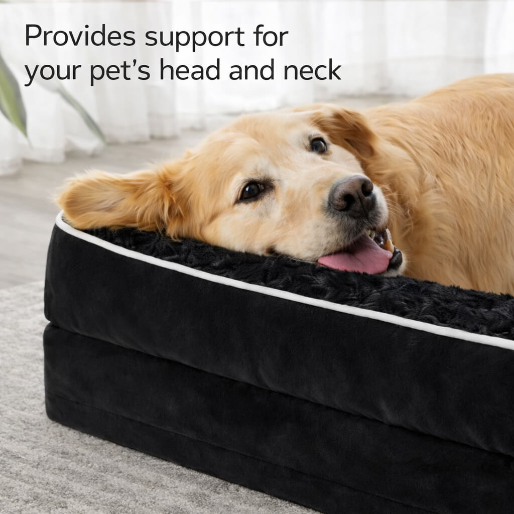 Dog lying on a black Orthopedic Dog Bed with text indicating support for pets' head and neck.