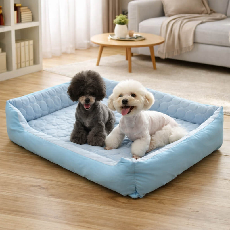 Two dogs on a large blue Calming Dog Bed in a living room.