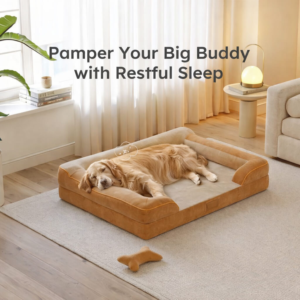Dog lying on a large Orthopedic Dog Bed in a cozy living room with text 'Pamper Your Big Buddy with Restful Sleep'.