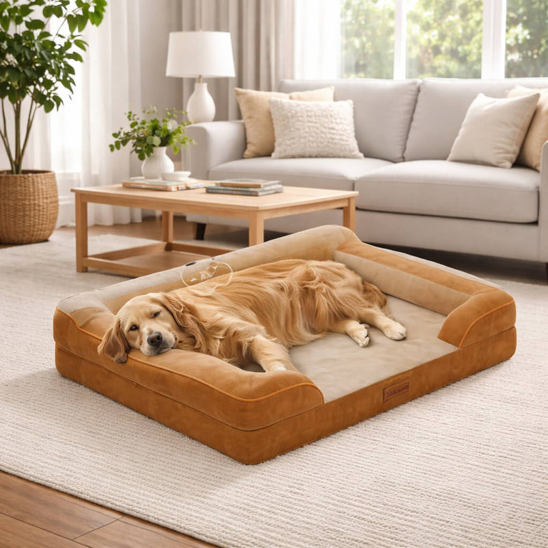 Dog lying on a large brown Orthopedic Dog Bed in a cozy living room.