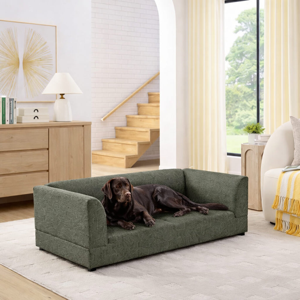 Dog lying on a green pet bed in a modern living room.