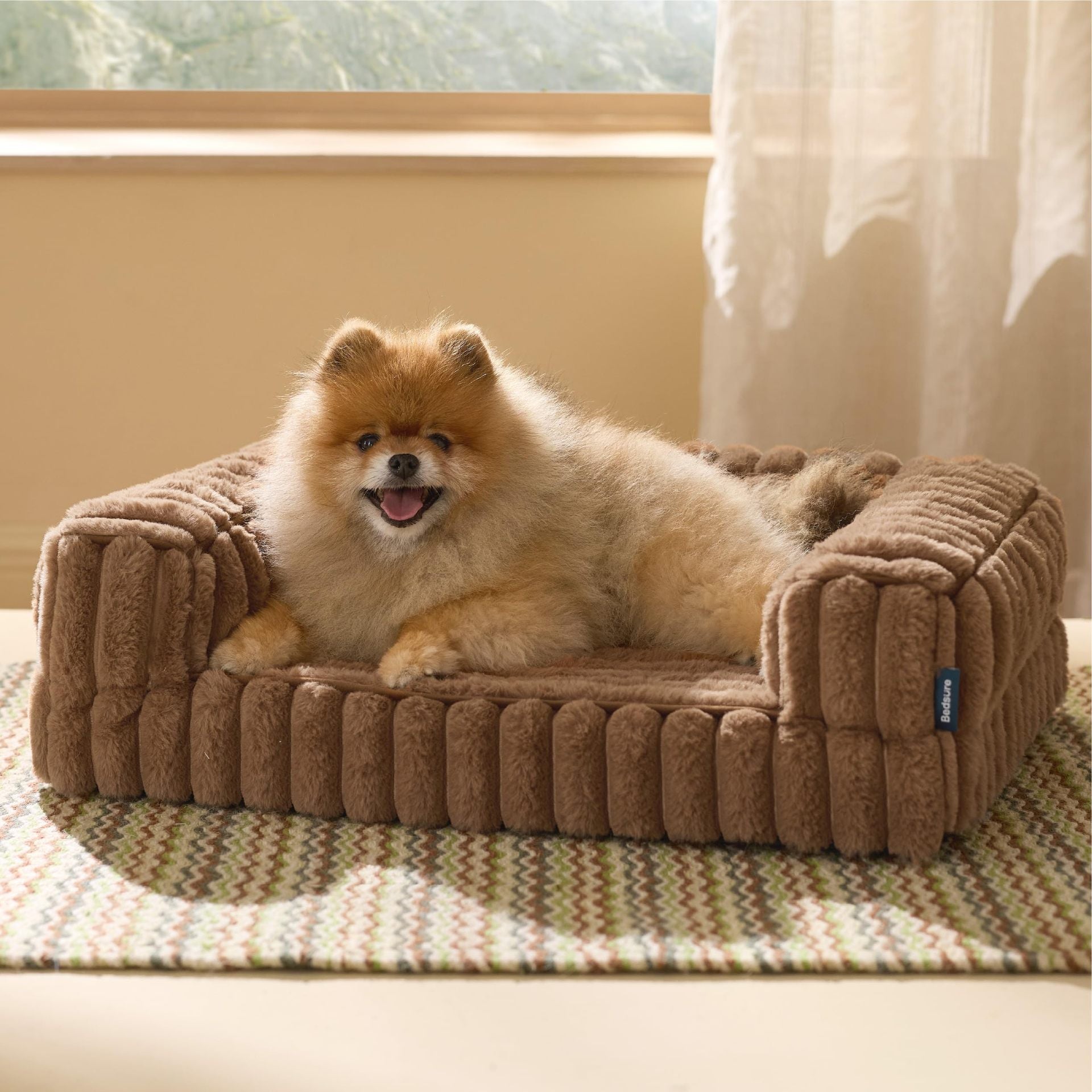 Small dog sitting on a brown Orthopedic Dog Bed in a room with a window and curtain.