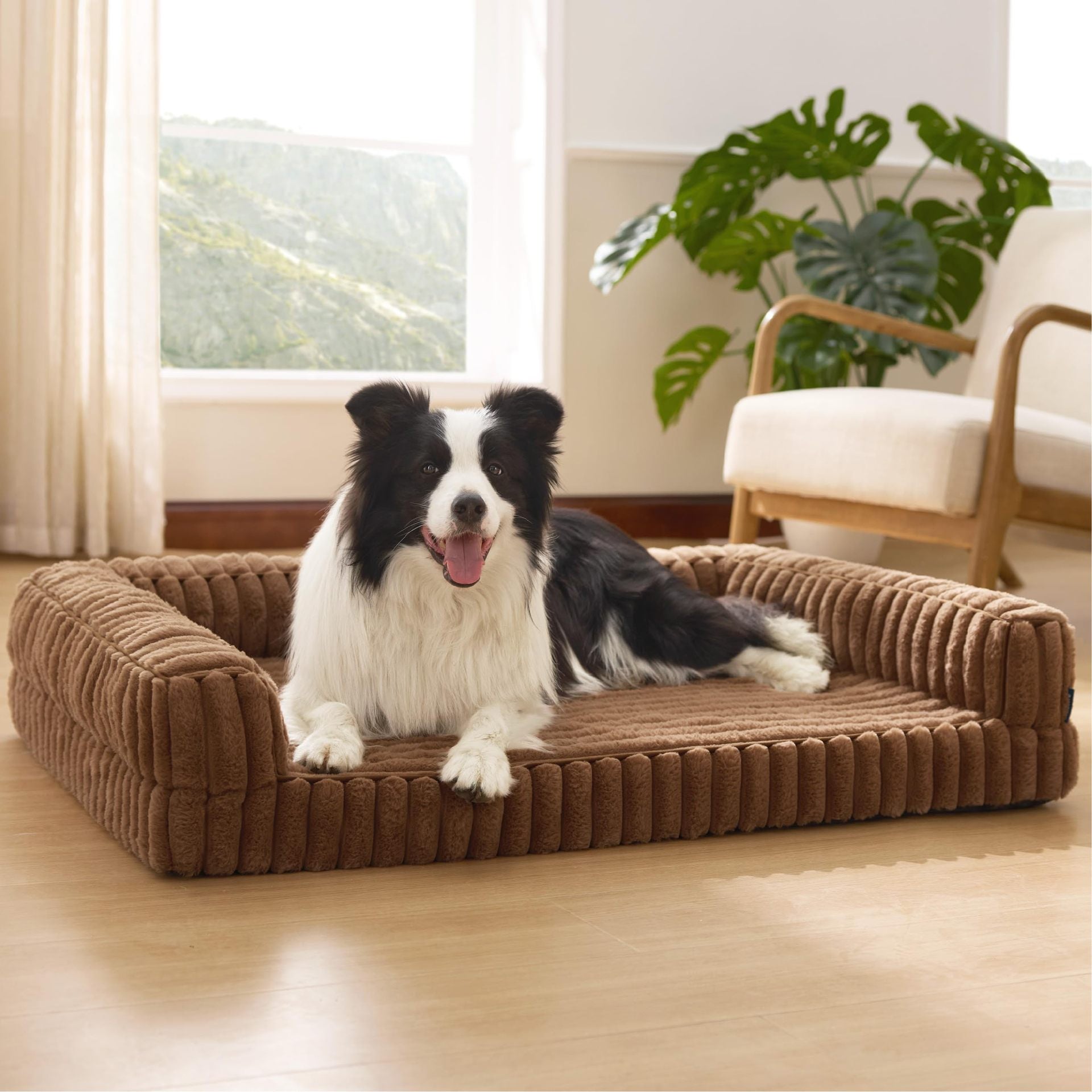 Dog lying on a brown plush Orthopedic Dog Bed in a bright room with a window and plant.
