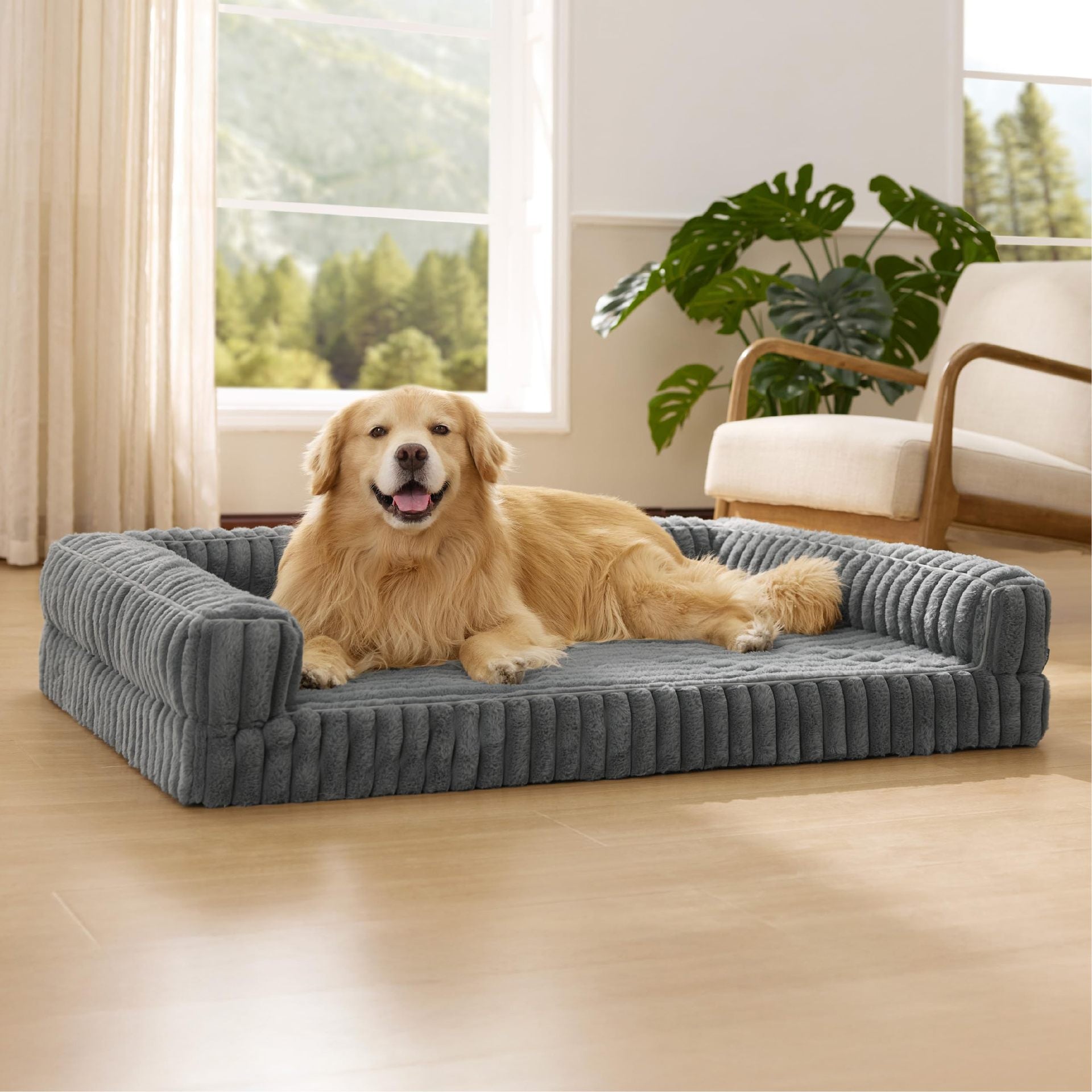 Dog lying on a large gray Orthopedic Dog Bed in a bright living room.